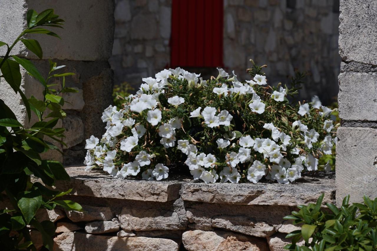 Les Nefliers Gite Céreste Exterior foto