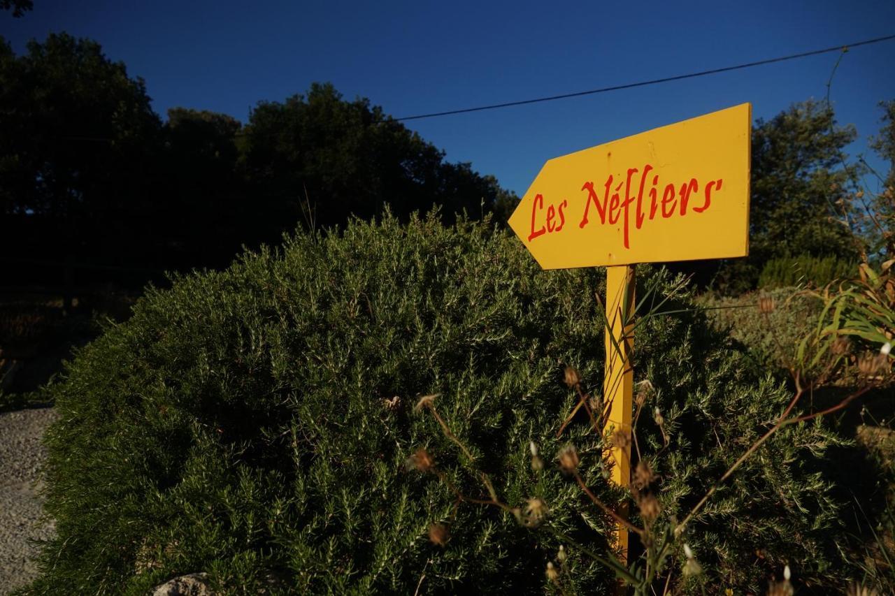 Les Nefliers Gite Céreste Exterior foto